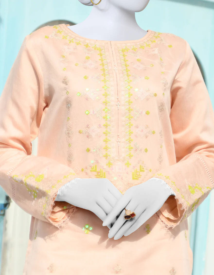PEACH ZARI 2PC STITCHED | JJPW-S-JPW2-US-23-929 FB/ZARI NET - Image 4
