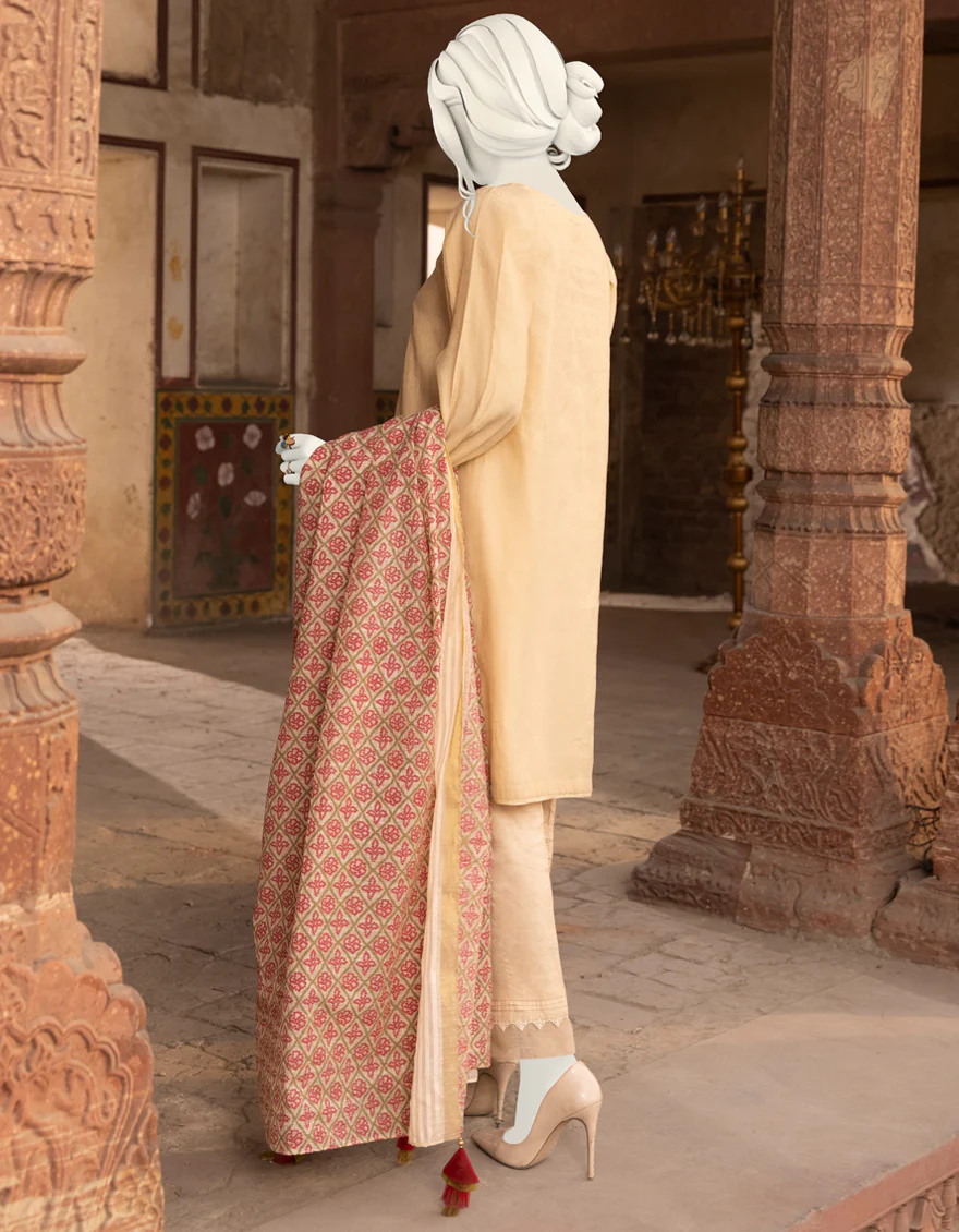 BEIGE ZARI 3PC STITCHED | JJPW-S-JPWF-US-22-019 FB/FF-293 - Image 2
