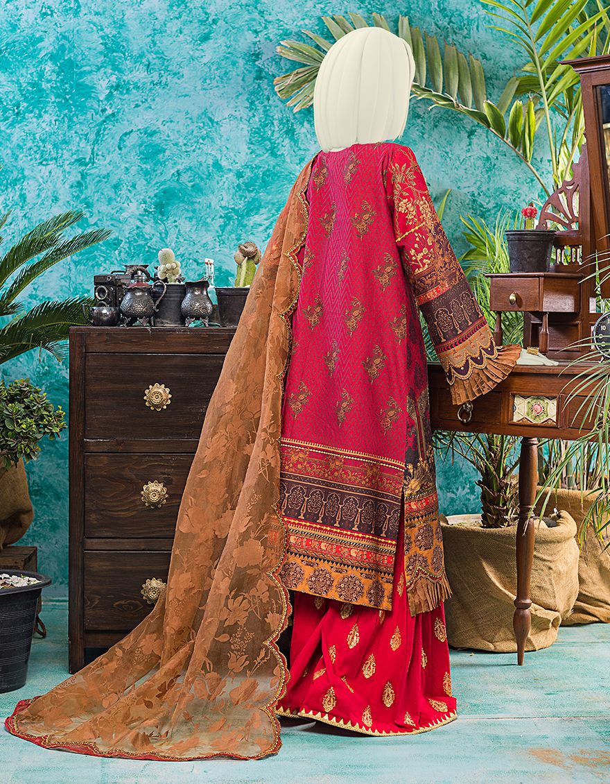JJPW-S-JPWS-US-21-193 FB/Ombre - Image 3