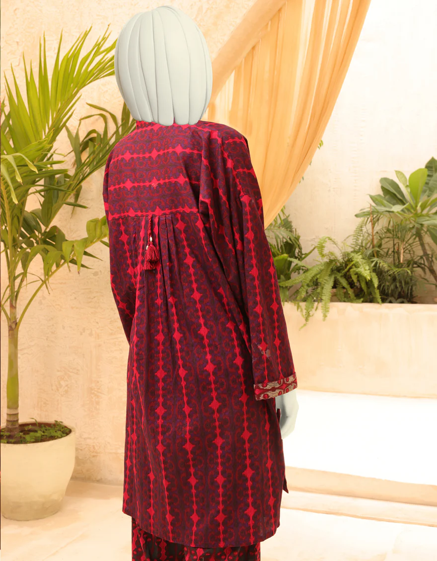 MULTICOLOR CAMBRIC 2PC STITCHED | JJPW-S-JW2-US-22-2002 FB/MONIQUE - Image 2
