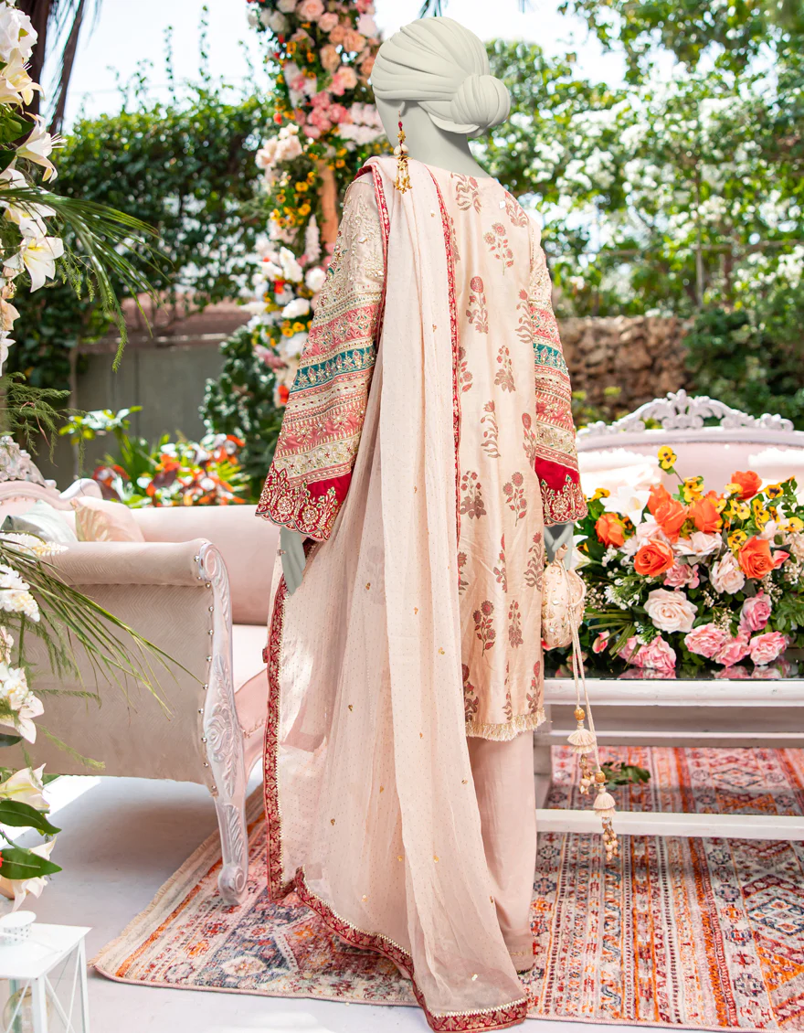 BEIGE RAW SILK 3PC STITCHED | JJPW-W-JPS-24-3946 FB/INARA-1 - Image 2