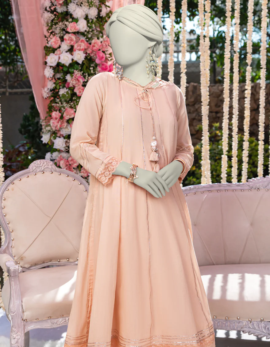 BROWN ORGANZA 2PC STITCHED | JJPW-W-JW2-24-2037 FB/CLASSIC DYED-03 - Image 2