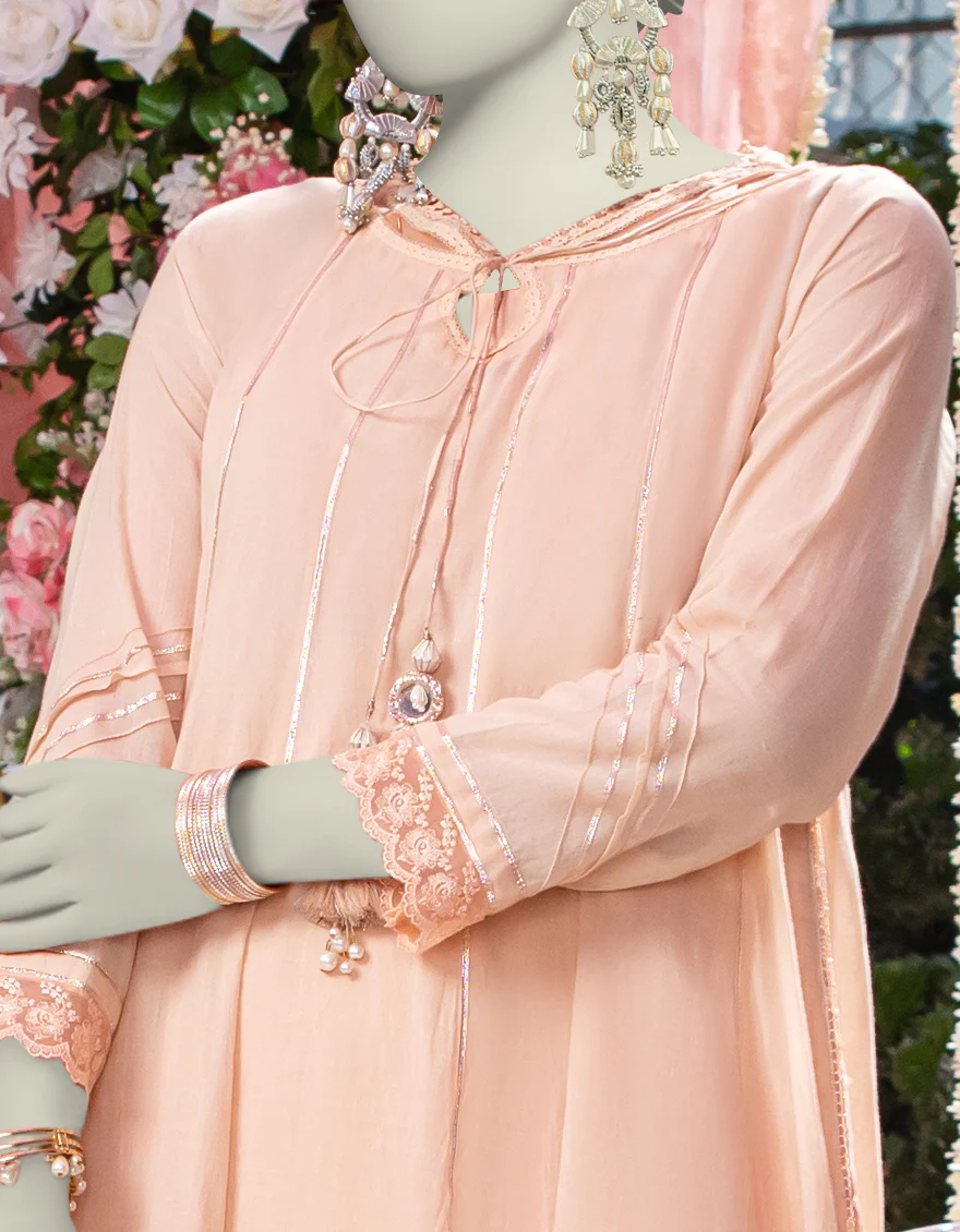 BROWN ORGANZA 2PC STITCHED | JJPW-W-JW2-24-2037 FB/CLASSIC DYED-03 - Image 3