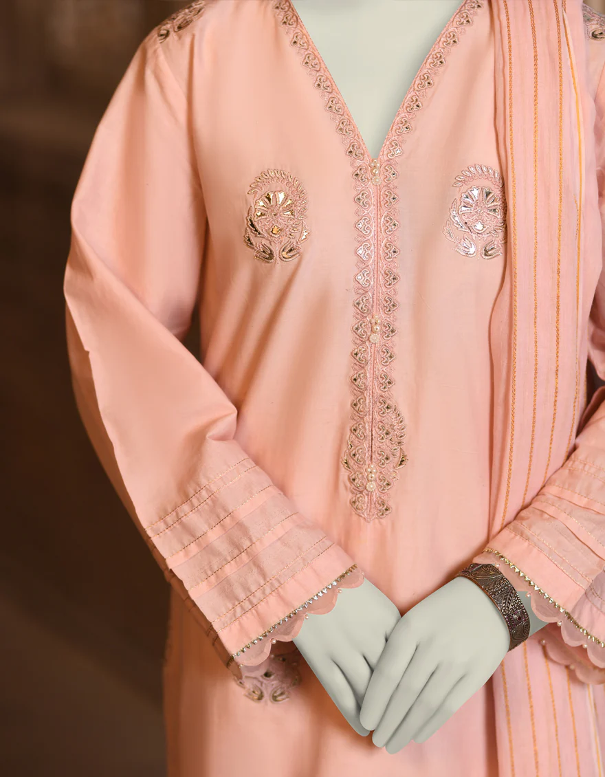 PINK LAWN 3PC STITCHED | JLAWN-S-25-032/S CHAMPA PANI-02 - Image 3