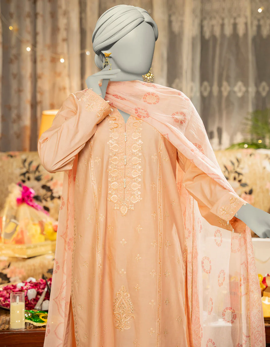 PEACH LAWN 3PC STITCHED | JLAWN-S-25-109/S DHAKA DYNASTY-1 - Image 3