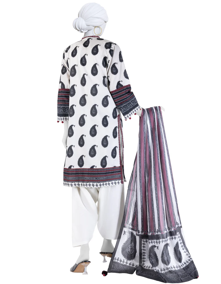 MULTICOLOR LAWN 3PC UNSTITCHED | JLAWN-S-25-3261 ETHNIC CRAFT-9 - Image 2