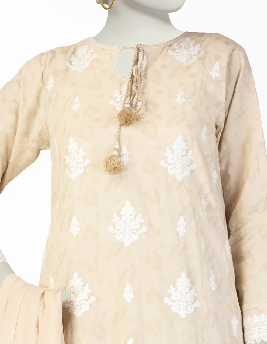 BEIGE ORGANZA 2PC STITCHED | JLAWN-S-JDS-25-1079/ - Image 3
