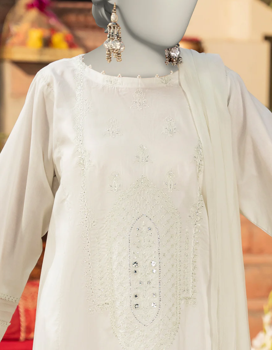 PISTA LAWN 2PC STITCHED | JLAWN-S-JDS-25-1085/ - Image 2