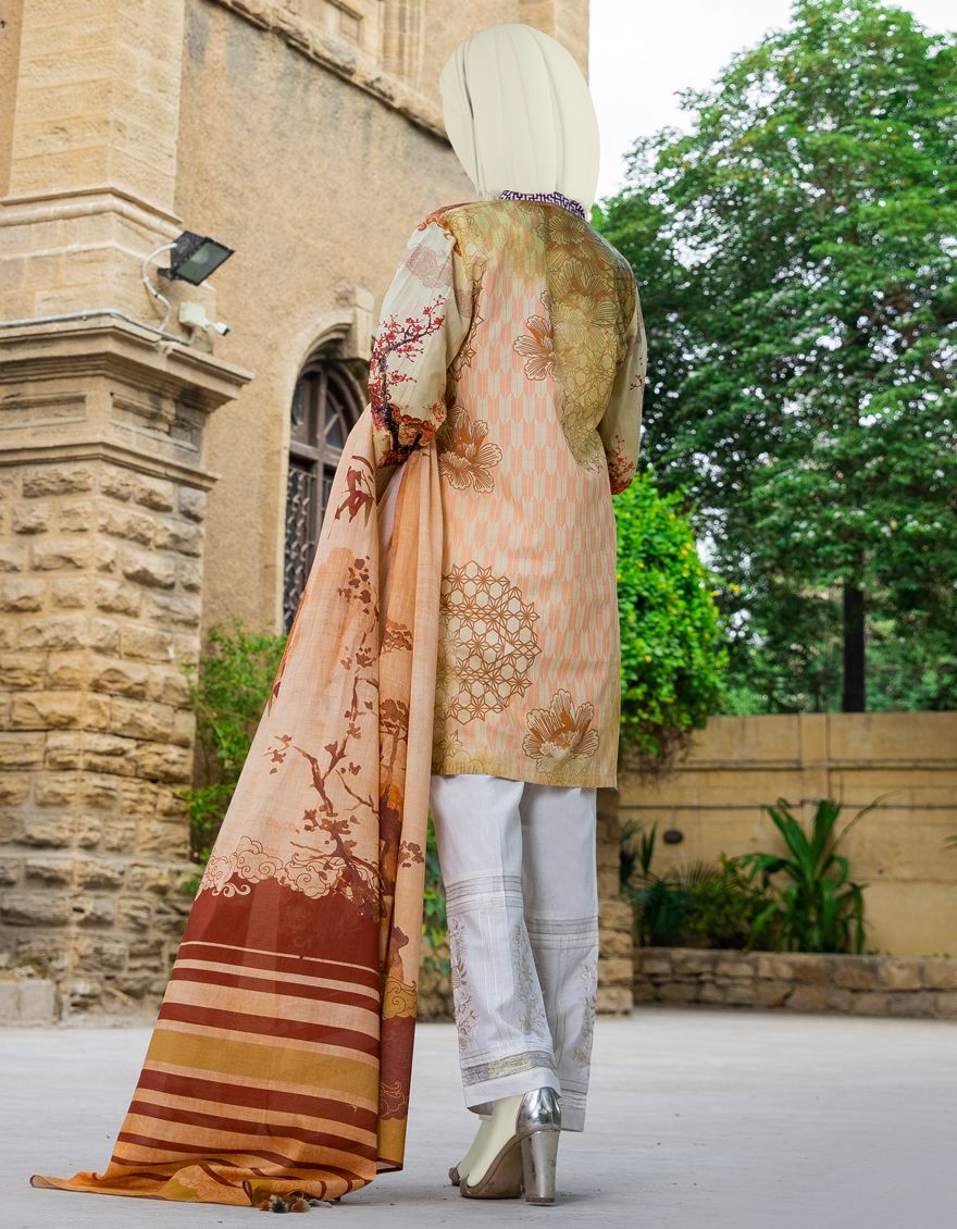 MULTICOLOR LAWN 2PC UNSTITCHED | JLAWN-S-JDS-US-21-1077 CHINESE - Image 2