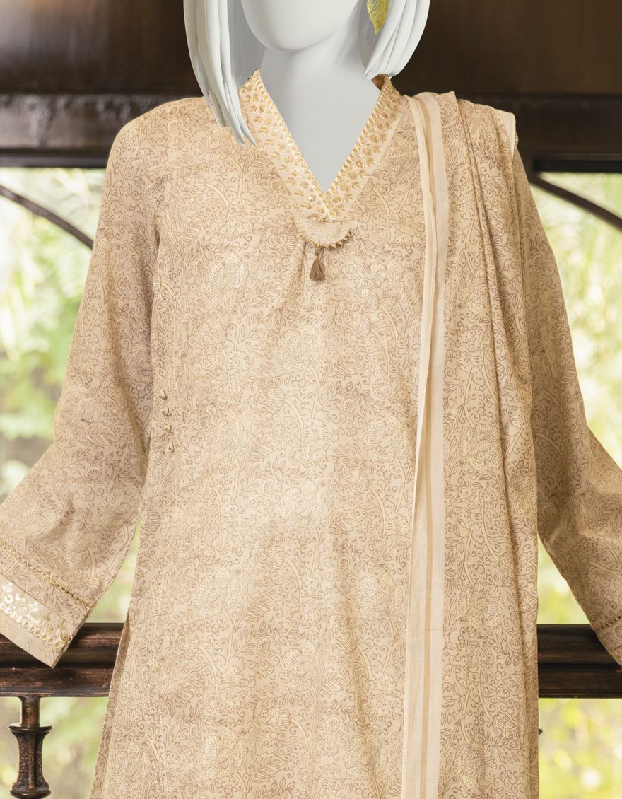 LIVER BROWN LAWN 2PC UNSTITCHED | JLAWN-S-JDS-US-22-1039 EUNOIA - Image 3