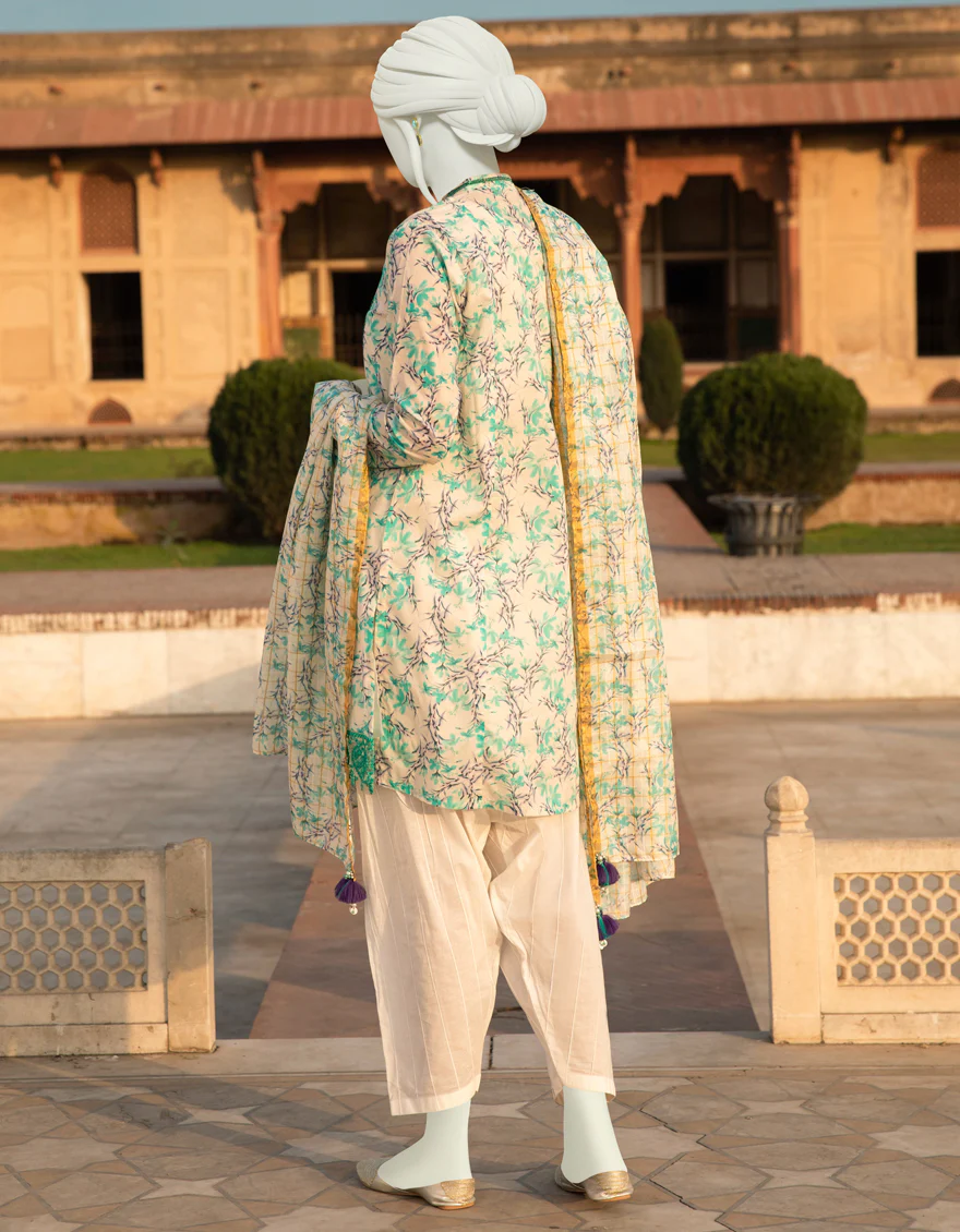 MULTICOLOR LAWN 2PC UNSTITCHED | JLAWN-S-JDS-US-22-1087 PERSEUS - Image 3