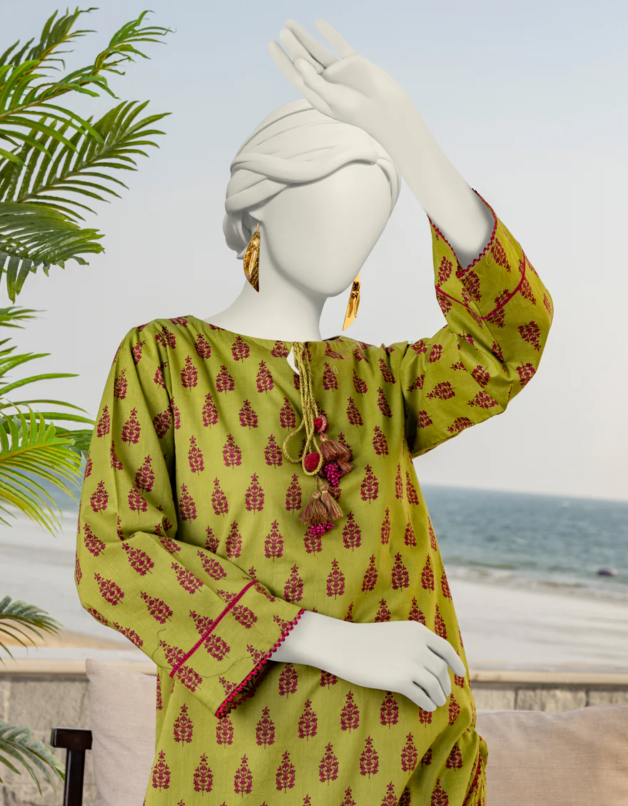 MULTICOLOR LAWN 2PC UNSTITCHED | JLAWN-S-JST-24-1629 GULZAR-2 - Image 3