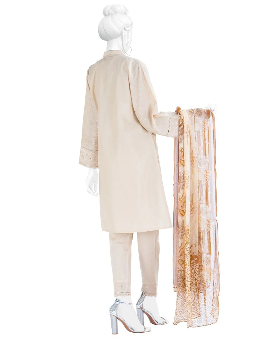 JLAWN-S-US-20-040/S Jiao - Image 3