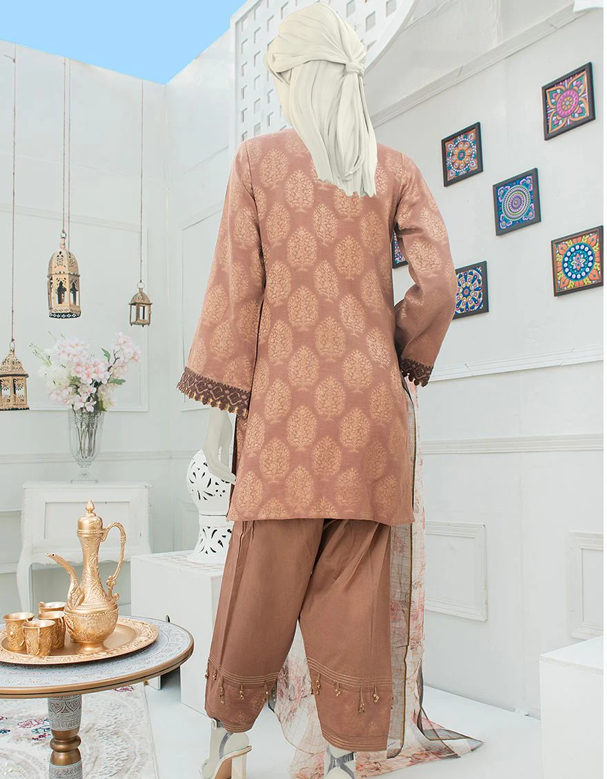 LIGHT BROWN LAWN 3PC UNSTITCHED | JLAWN-S-US-21-240 CEMBER - Image 2