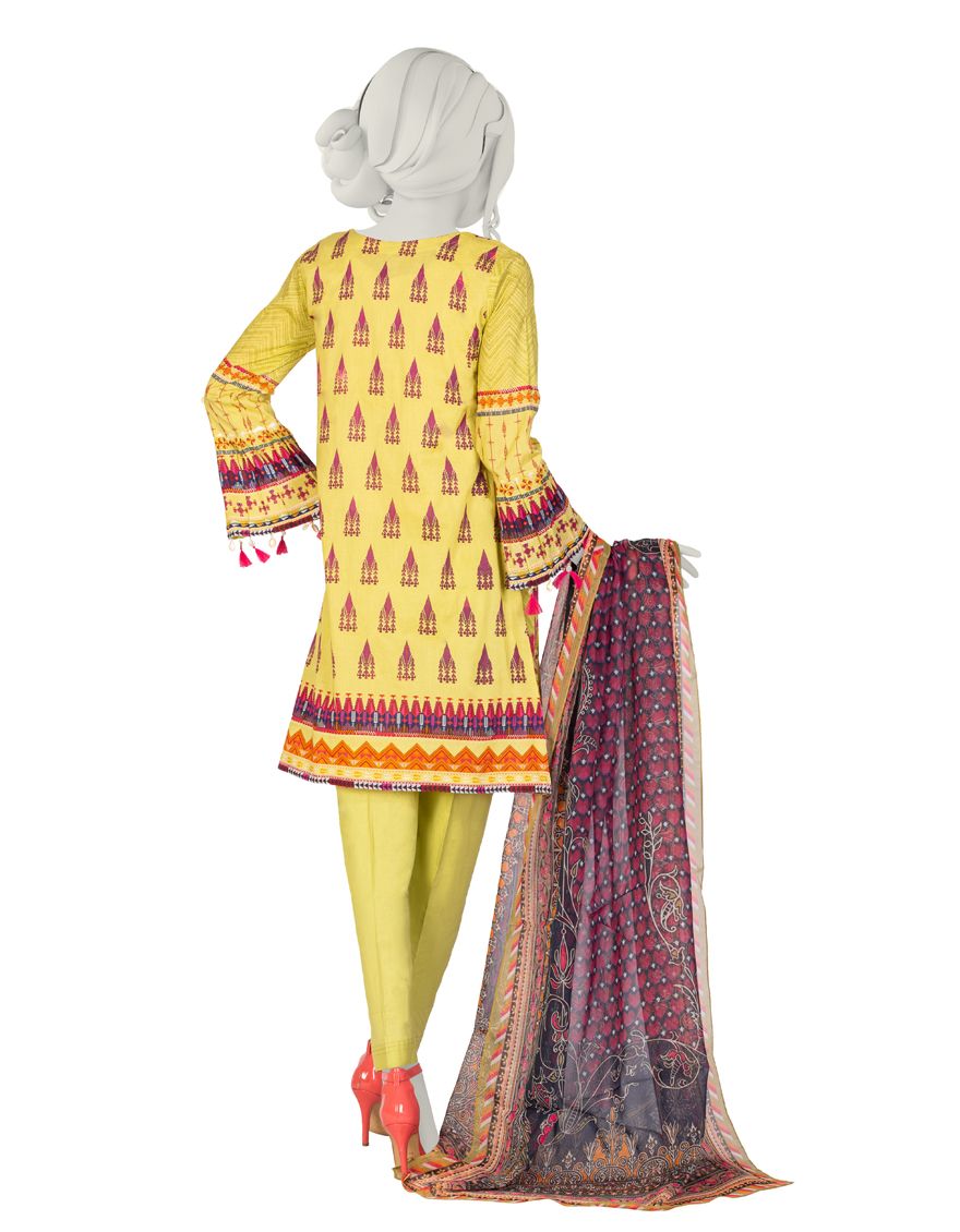 JLAWN-S-US-21-271/S Kingri - Image 3