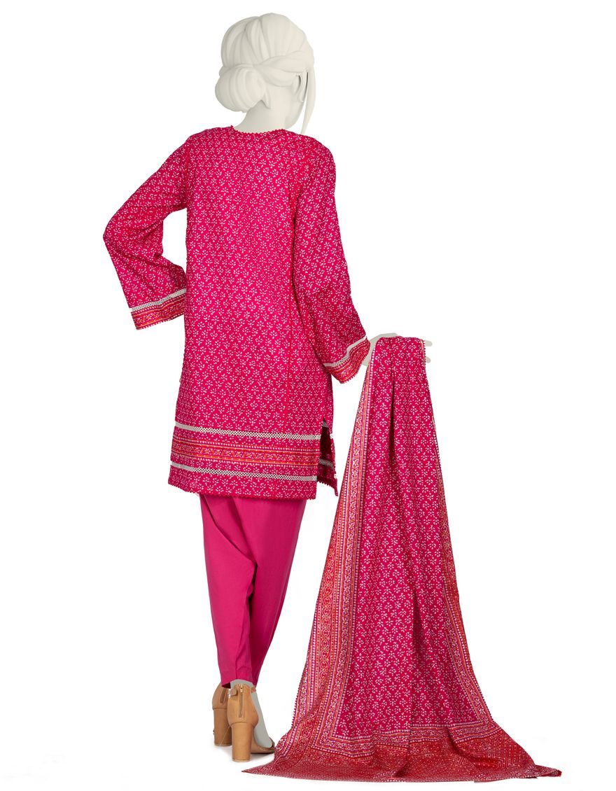 JLAWN-S-US-21-277/S Bindra - Image 2