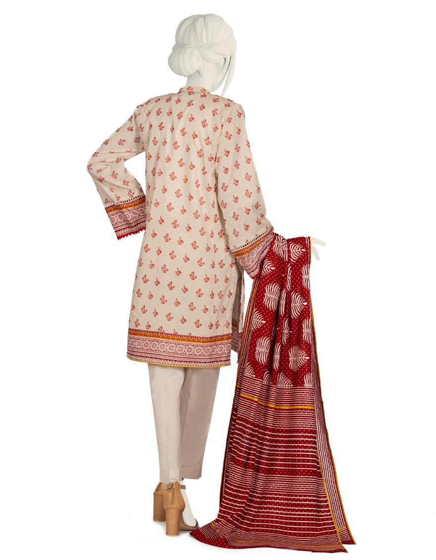 JLAWN-S-US-21-279/S Chanderi - Image 2