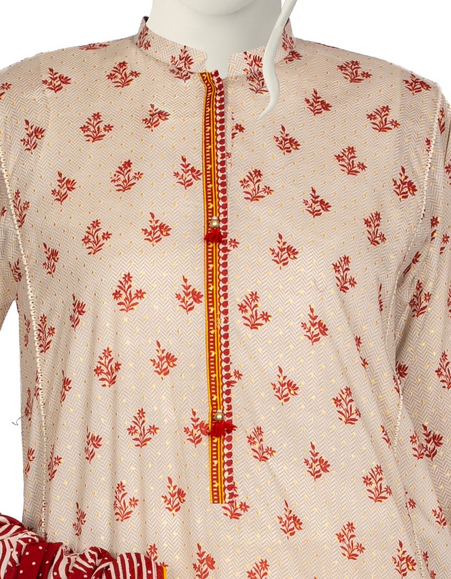 JLAWN-S-US-21-279/S Chanderi - Image 3
