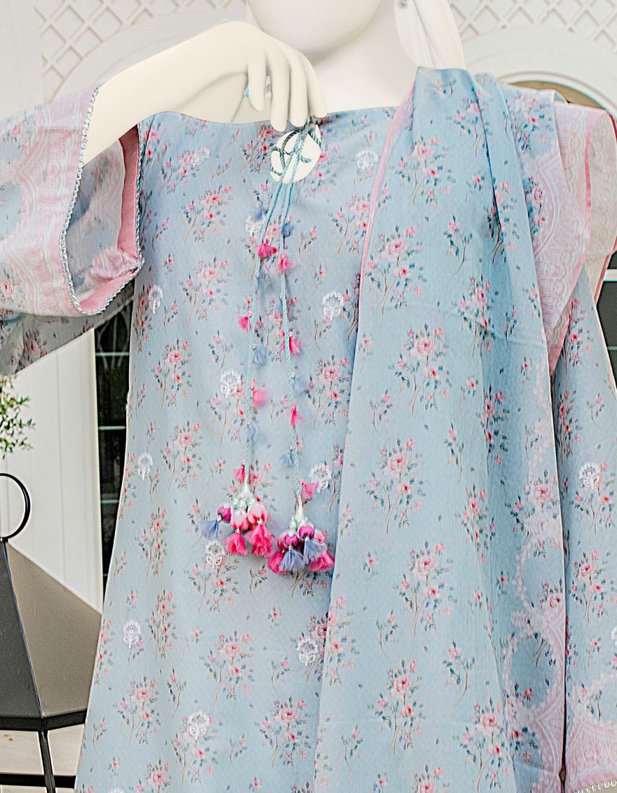 PEACH-FEROZI LAWN 3PC UNSTITCHED | JLAWN-S-US-22-159 JULEP - Image 4