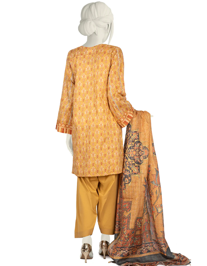 MULTICOLOR LAWN 3PC STITCHED | JLAWN-S-US-22-232/S REEM - Image 3