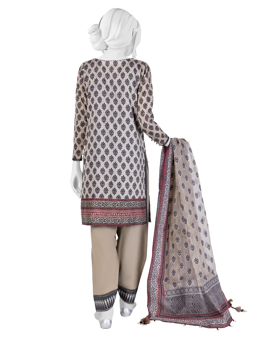 MULTI LAWN 3PC UNSTITCHED | JLAWN-S-US-23-257 CHANDRA - Image 2