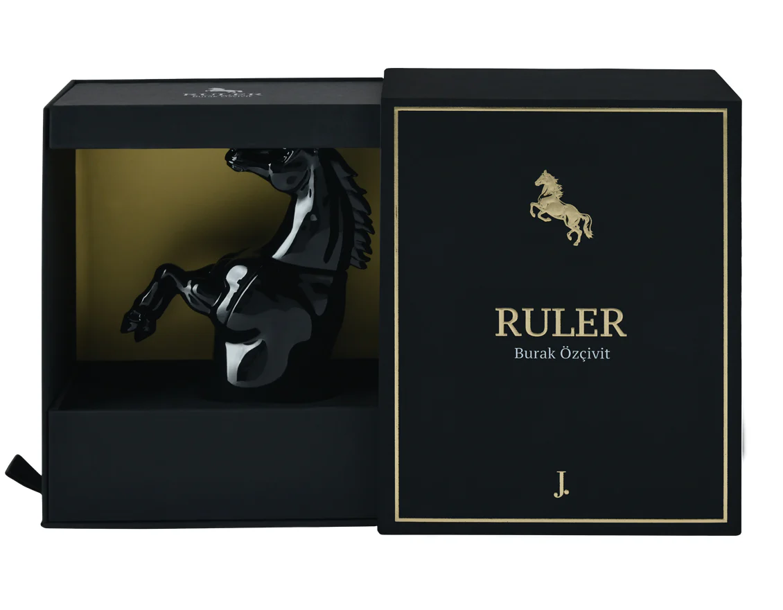 RULER - Image 3