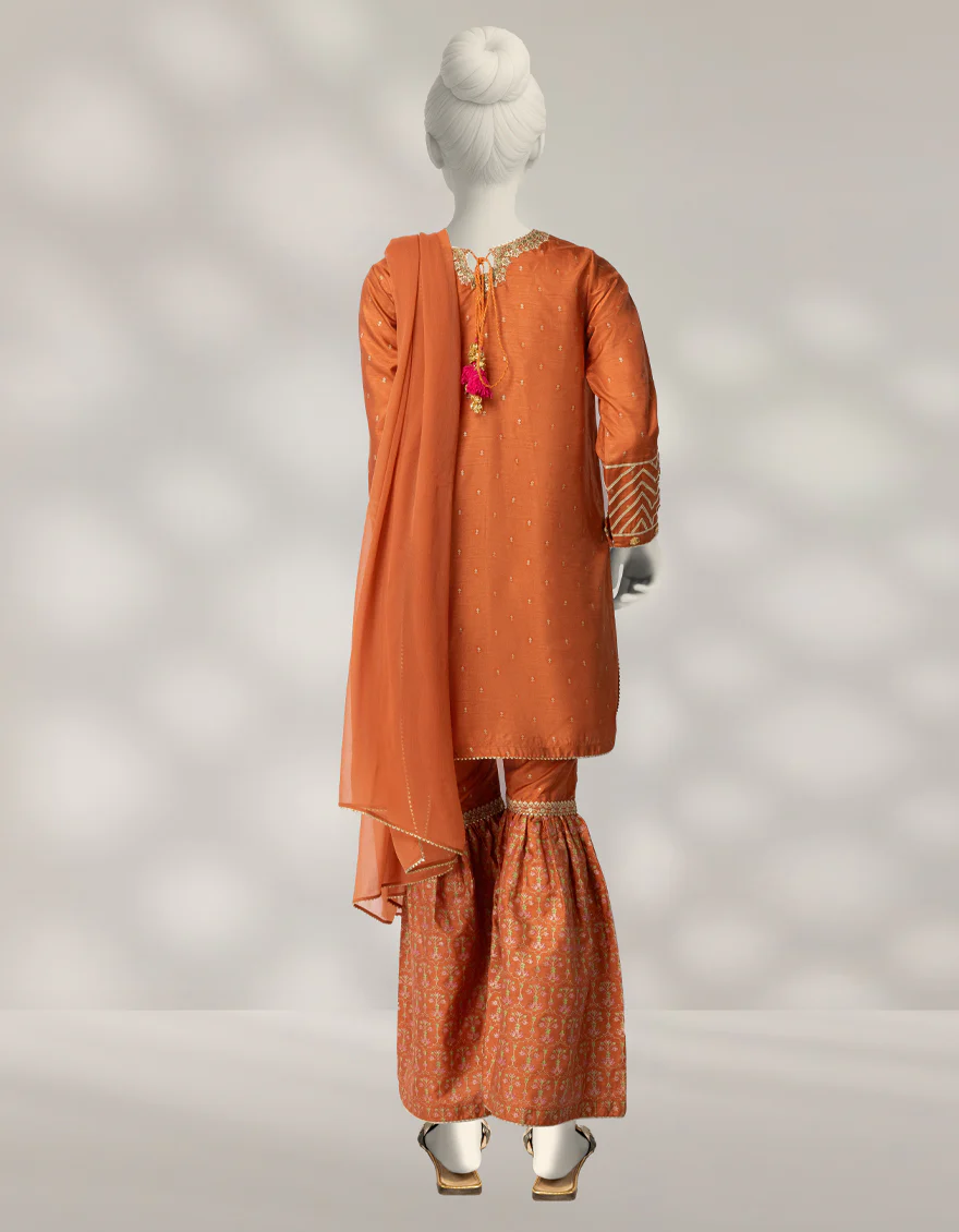 RUST RAW SILK 3PC STITCHED | JGK-W-JTF-25-771 FB/RANG-E-ZARI-07 - Image 2