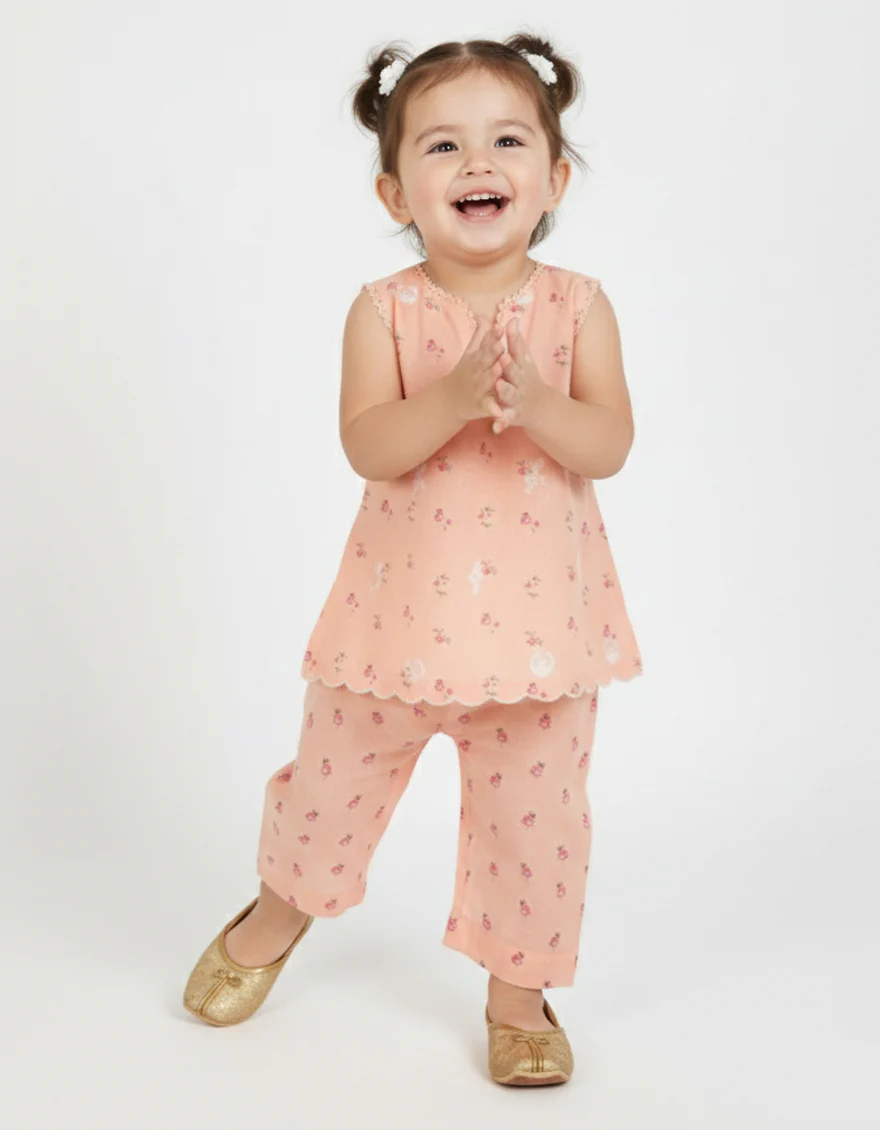 PEACH LAWN 2PC STITCHED | JIK-S-JIST-26-5825 FB/SCHIFFLI-C-03 - Image 2